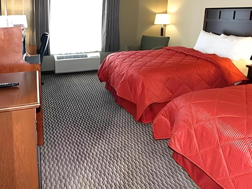 Comfort Inn & Suites Мэдисонвилл Экстерьер фото