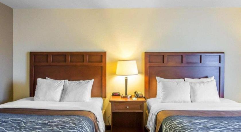 Comfort Inn & Suites Мэдисонвилл Экстерьер фото